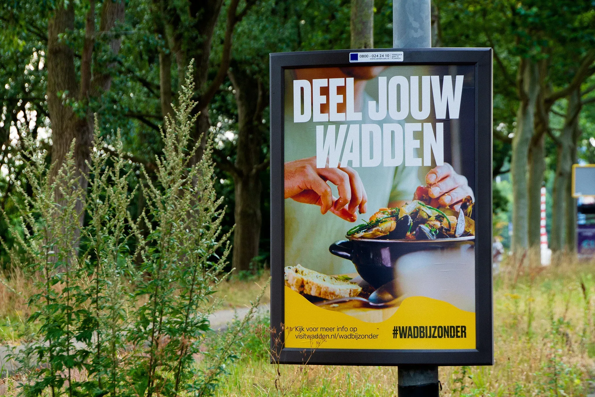 Visit Wadden — 3-0