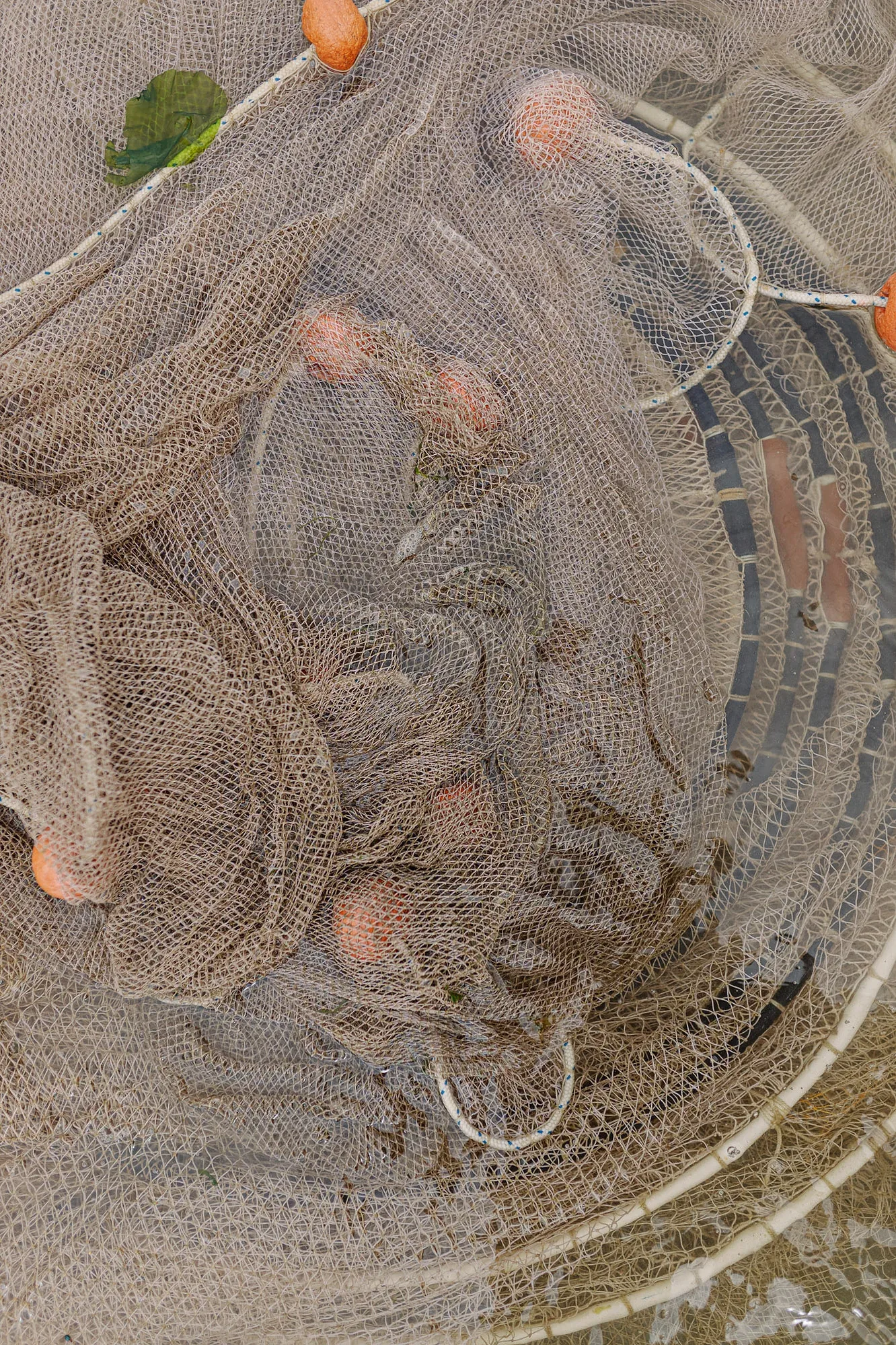 Waddenerfgoedcentrum — 23-0